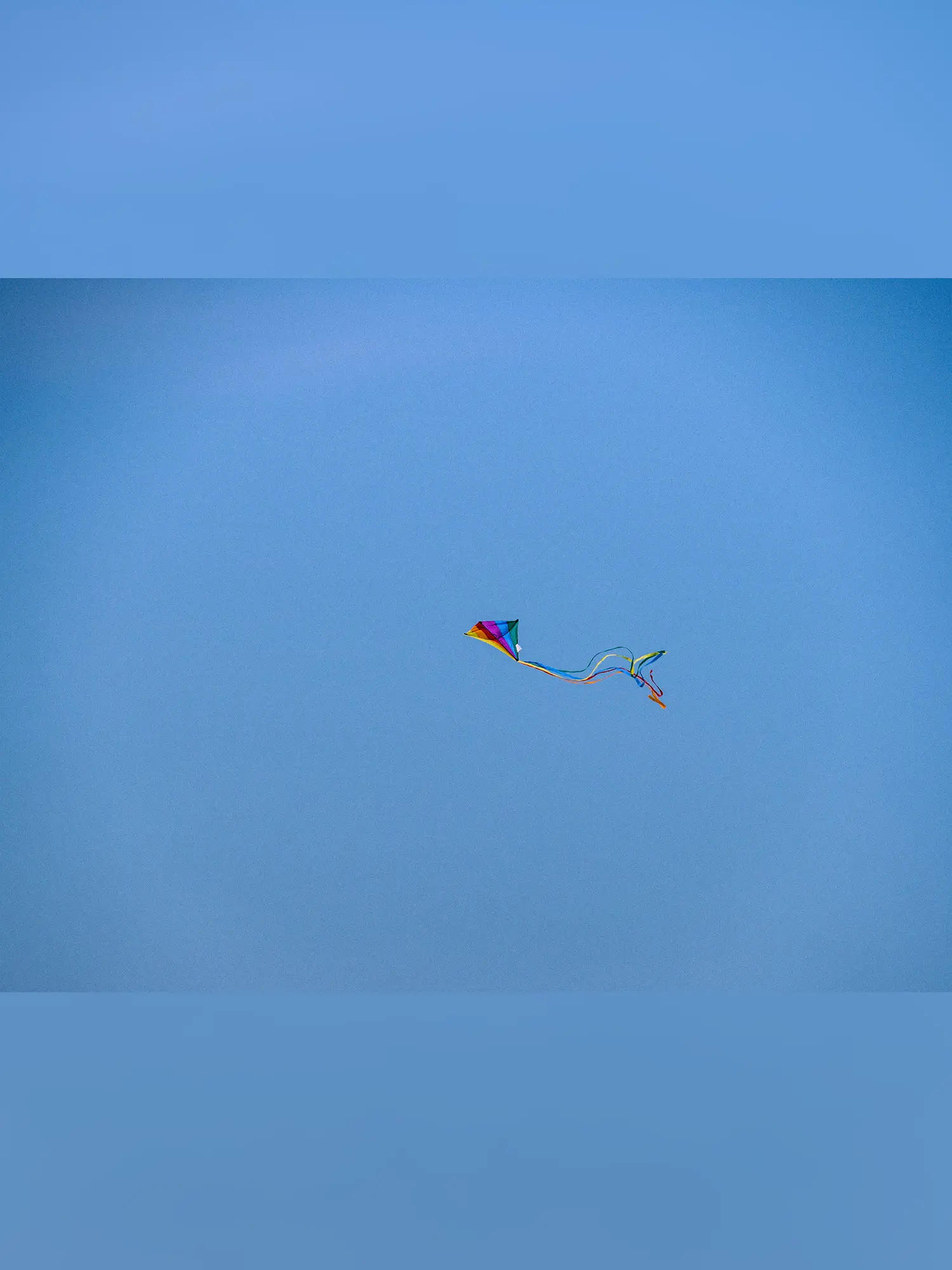 A kite at the beach