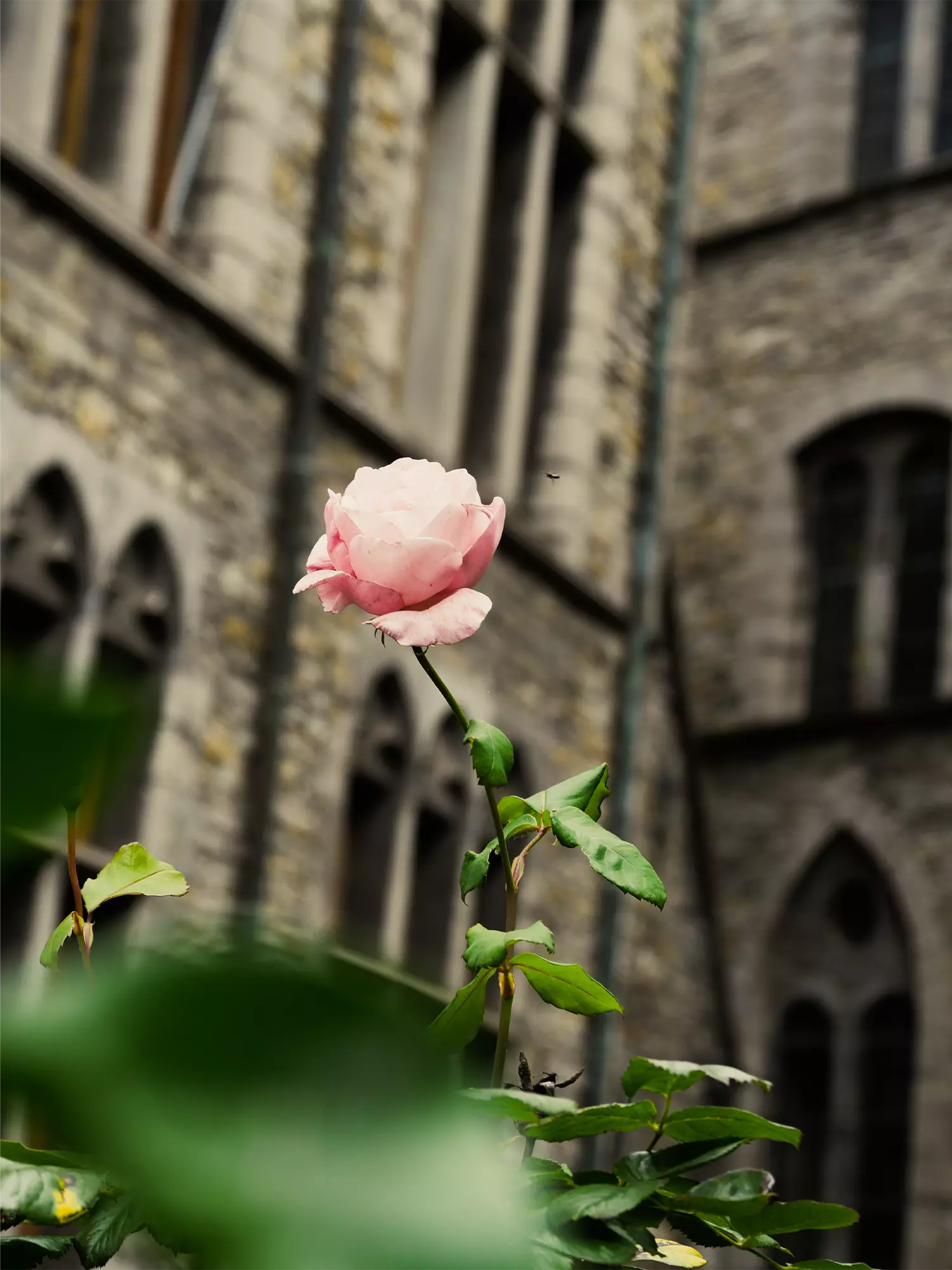 Current image on display